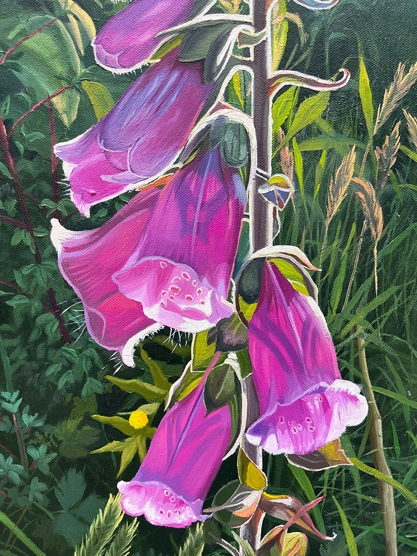 Dedalera