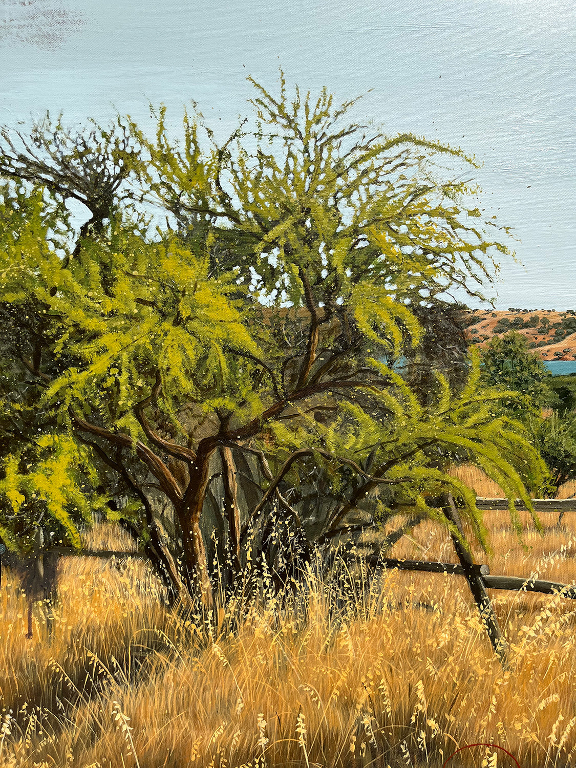 Calor de verano