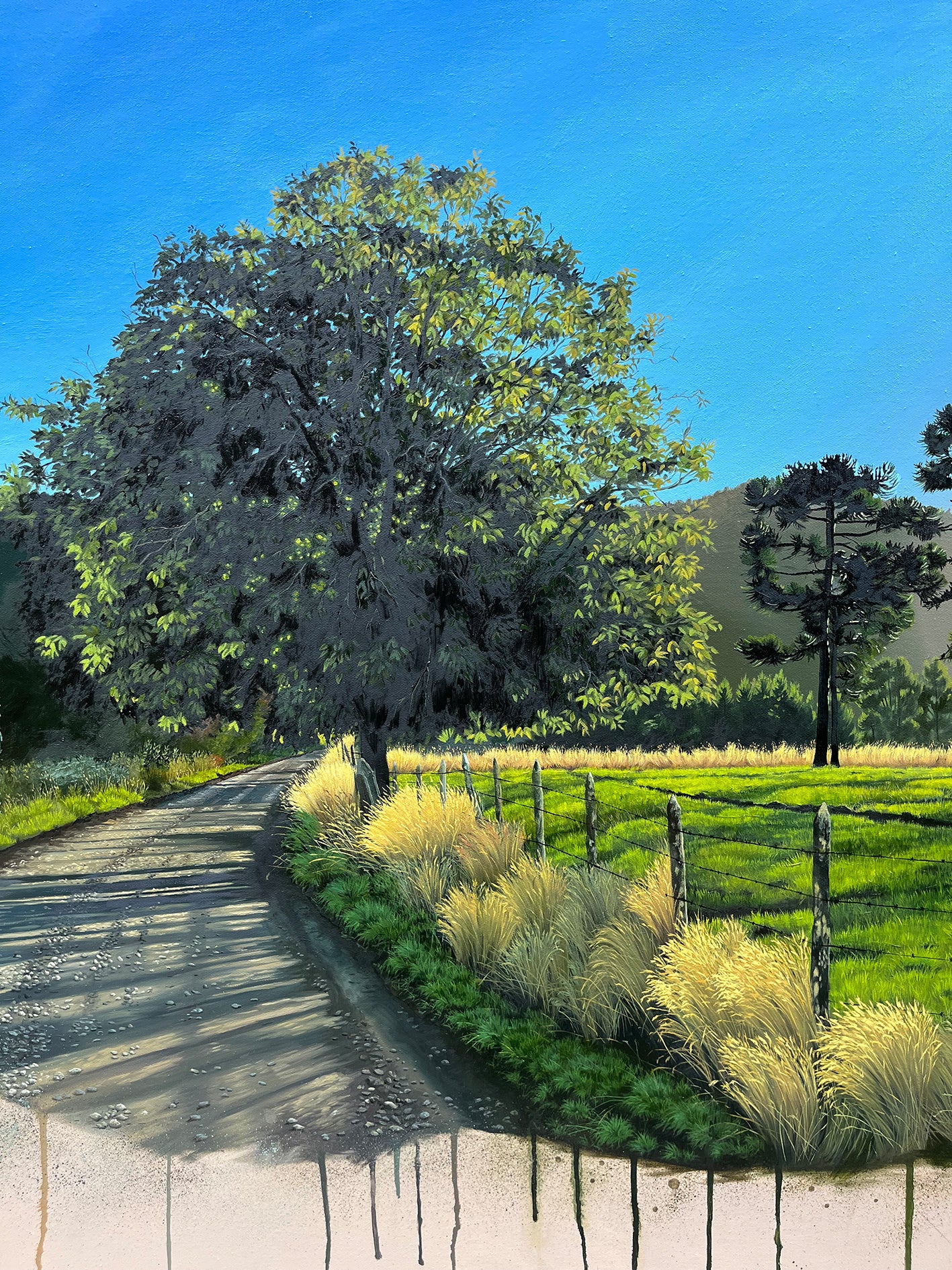 Entre Araucarias