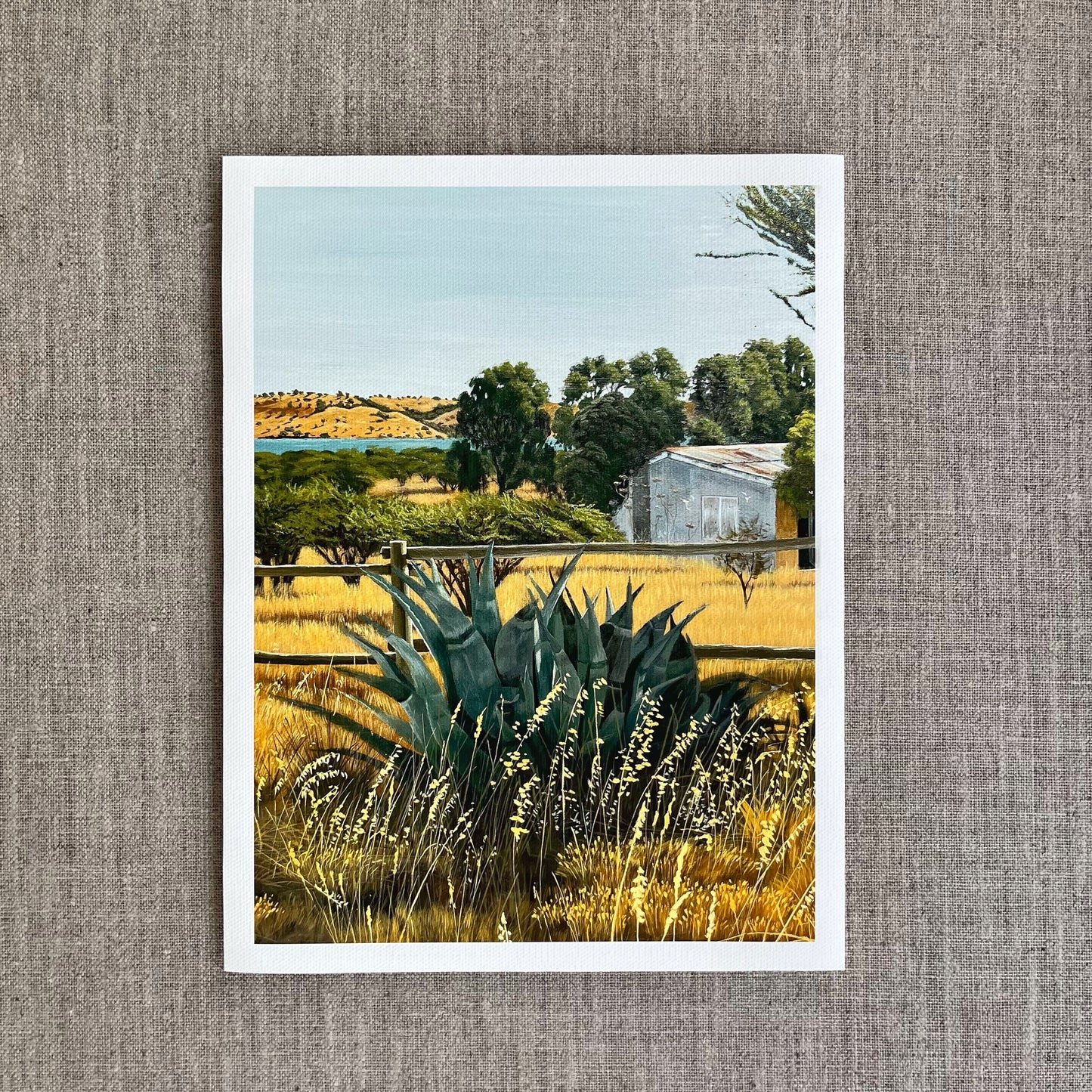 Verano