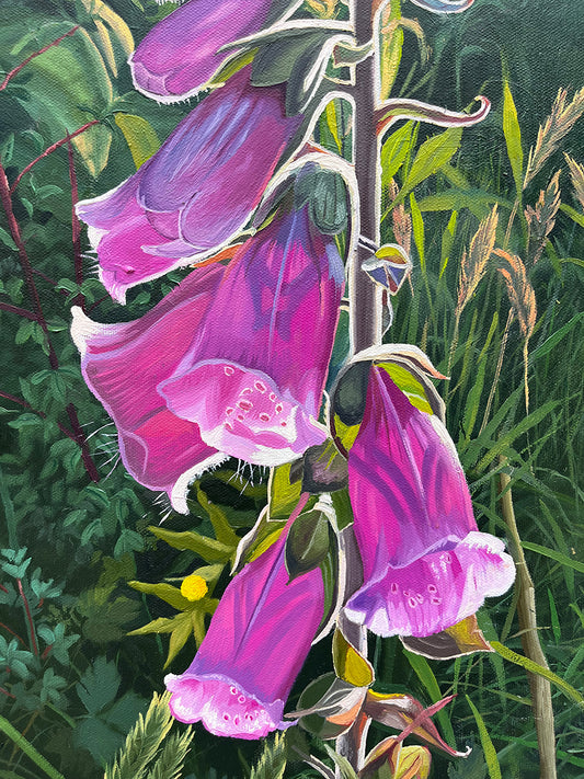 Dedalera