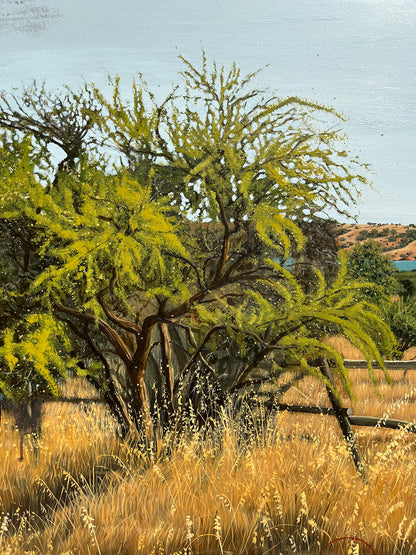 Calor de verano