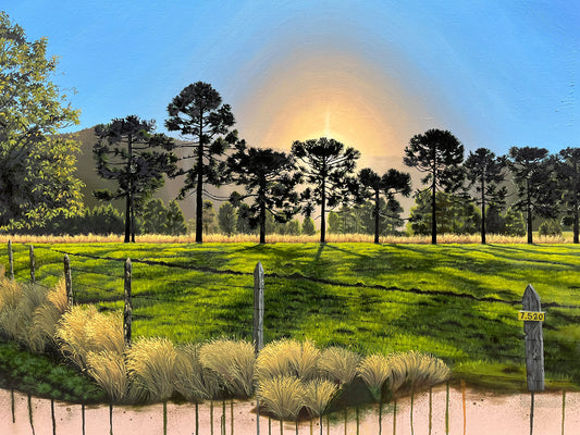 Entre Araucarias