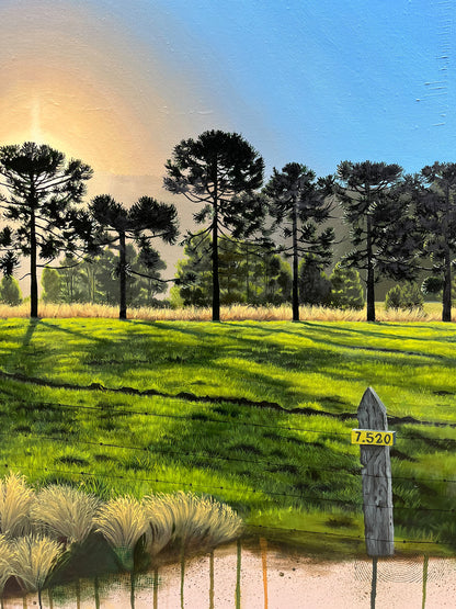 Entre Araucarias