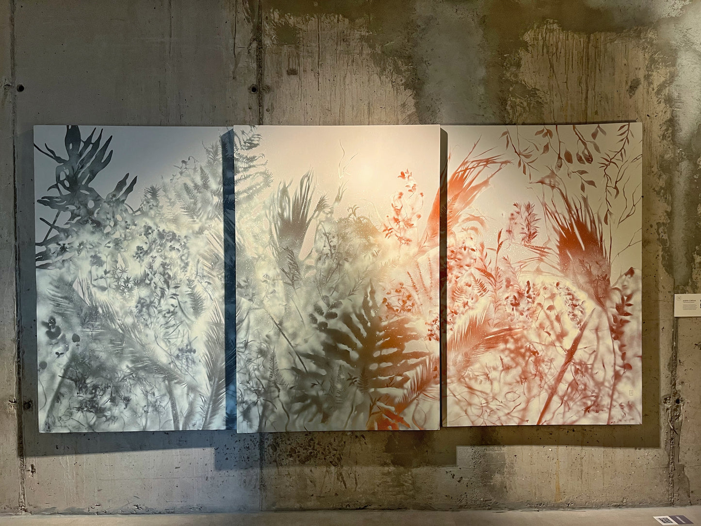 Cartografía Vegetal