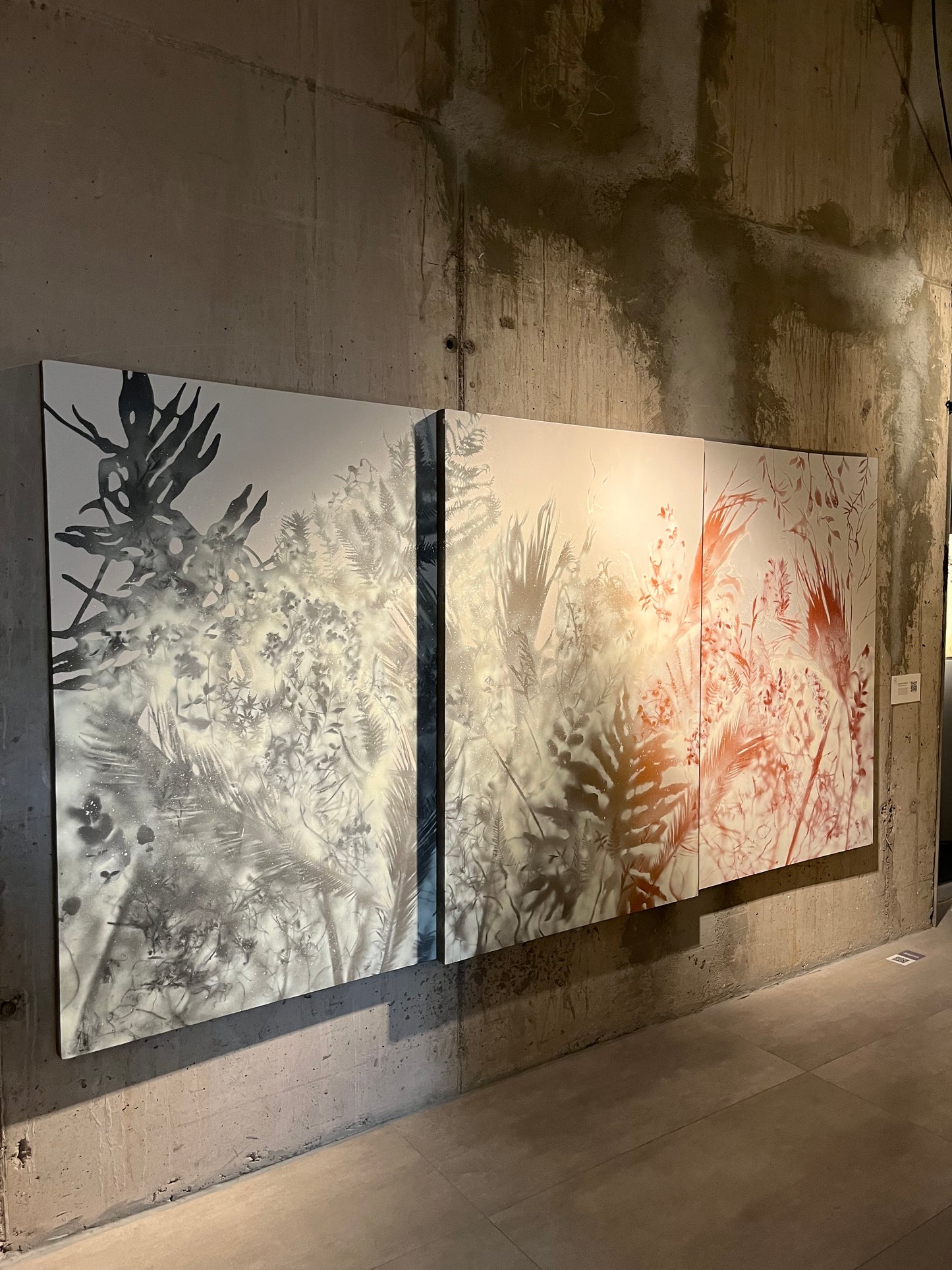 Cartografía Vegetal