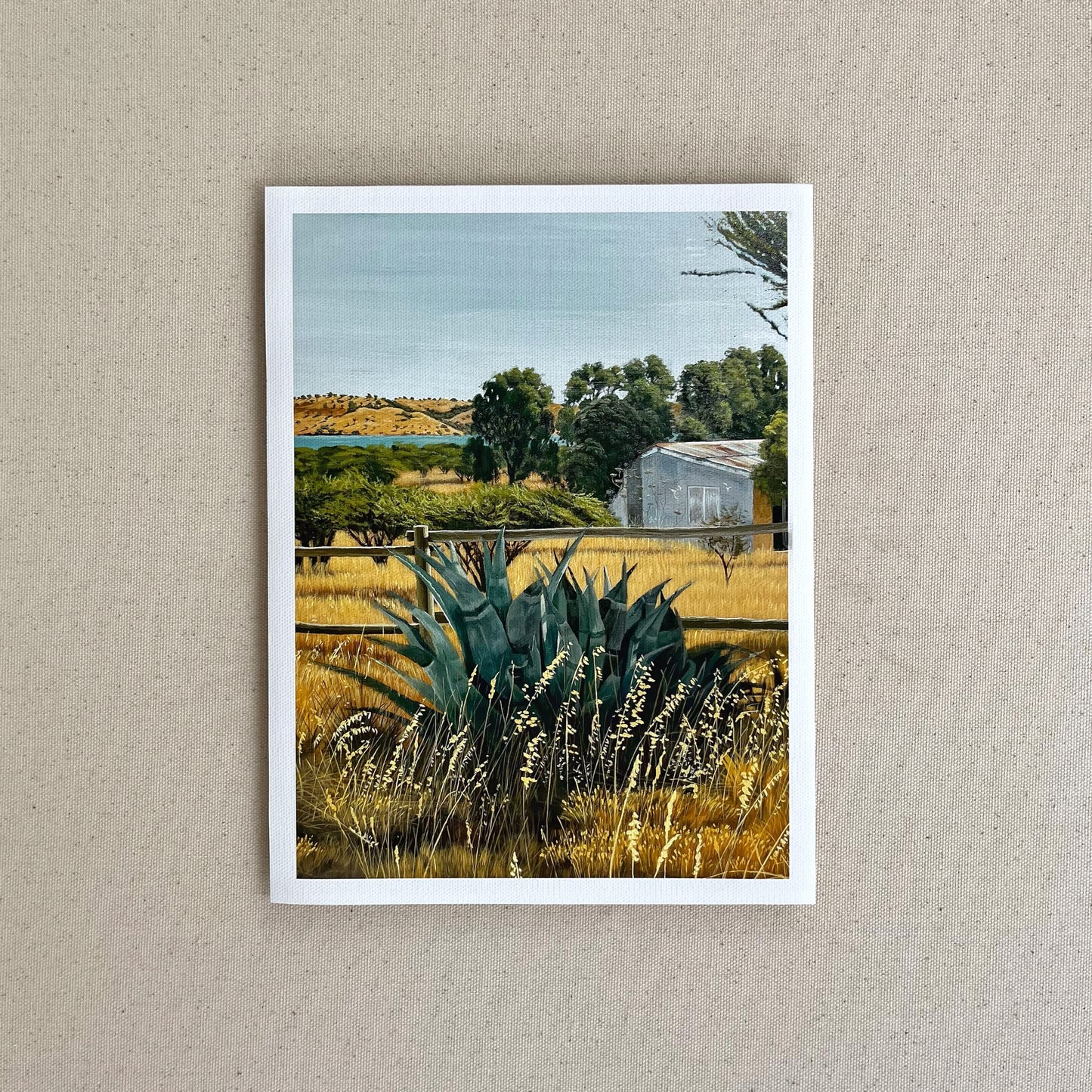 Verano