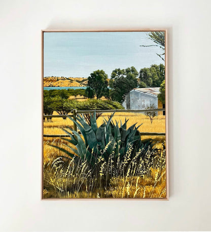 Verano