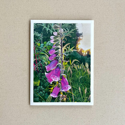 Dedalera