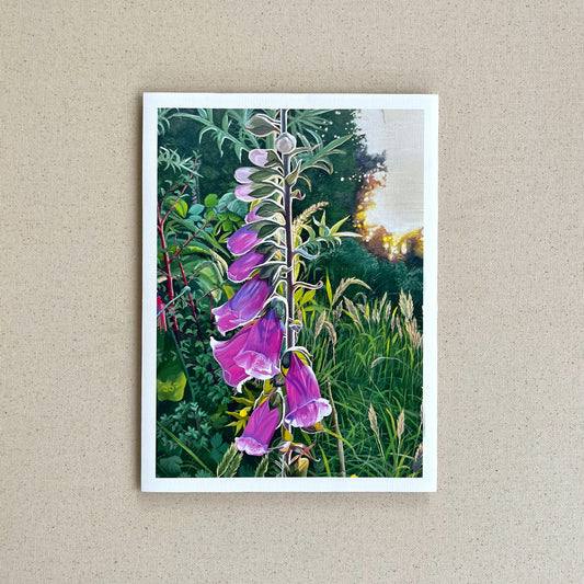 Dedalera